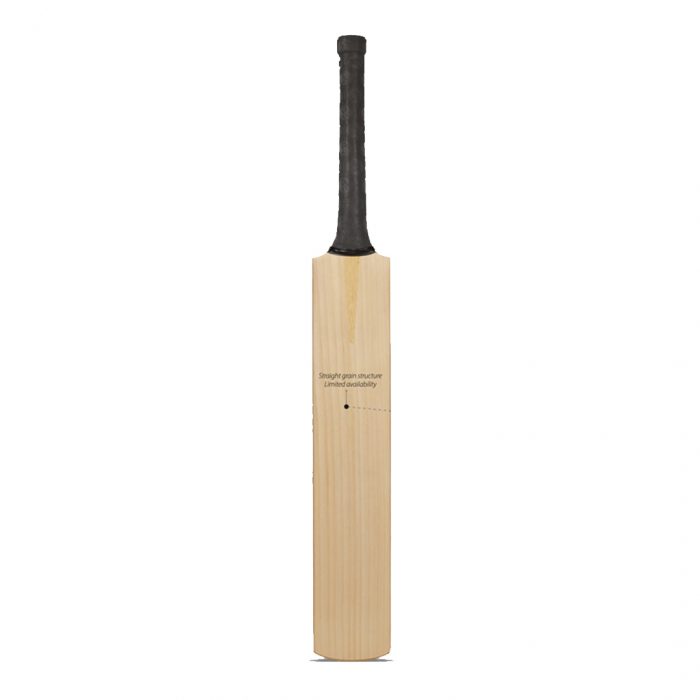 DSC Grade Player English Willow Bat