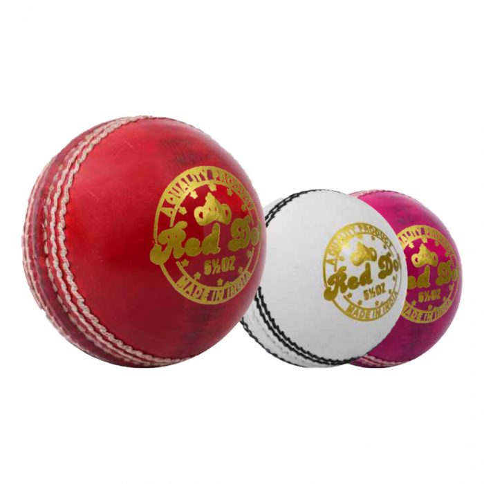 DSC Red Dot Cricket Ball
