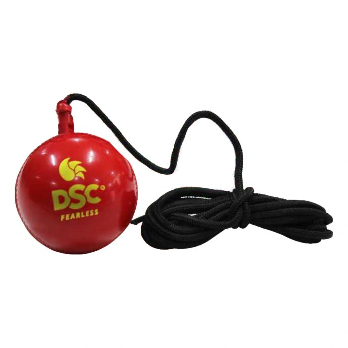 DSC Hanging Synthetic Ball