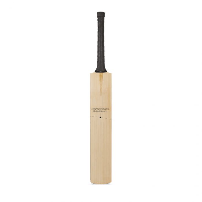 DSC Grade Pro English Willow Bat