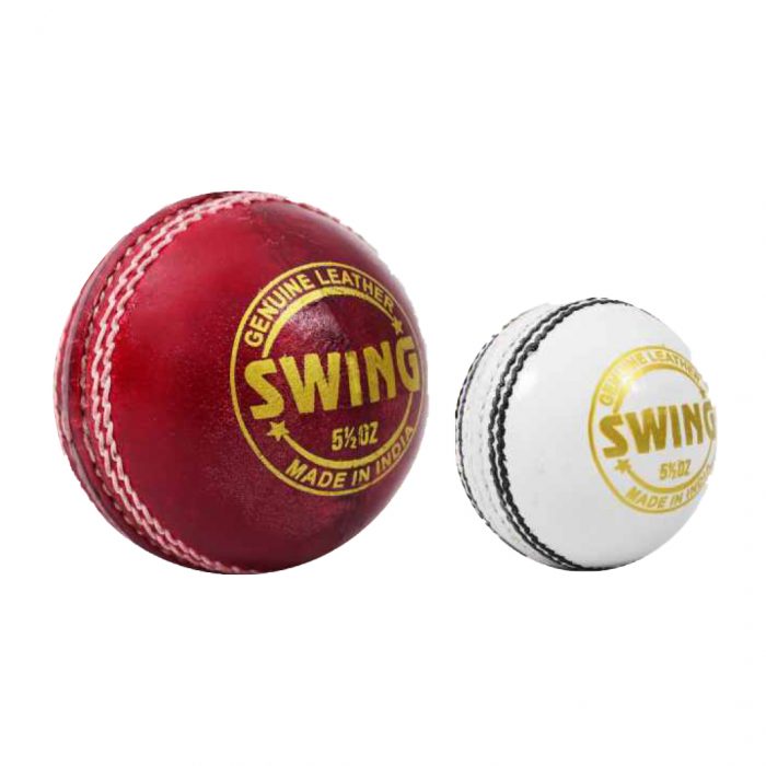 DSC Swing Cricket Ball