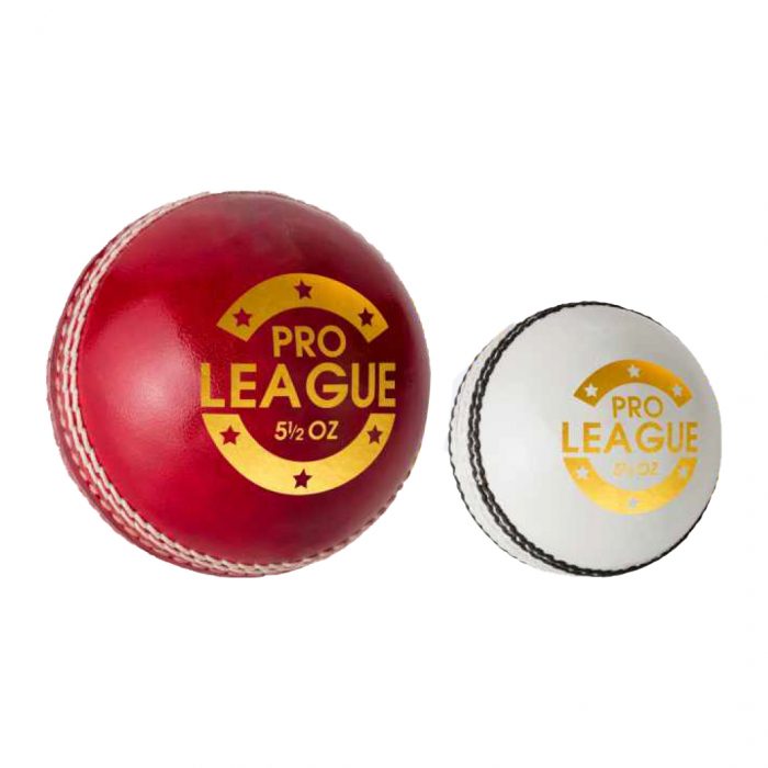 DSC Pro League Leather Ball