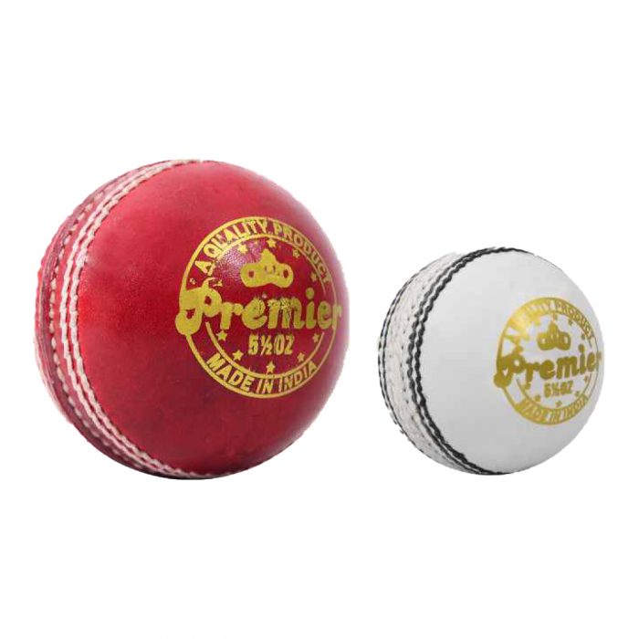 DSC Premier Leather Ball