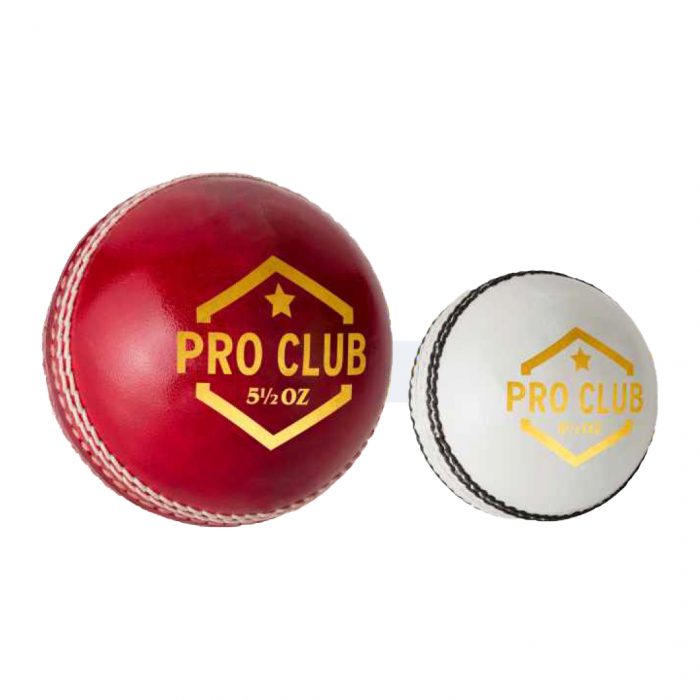 DSC Pro Club Leather Ball