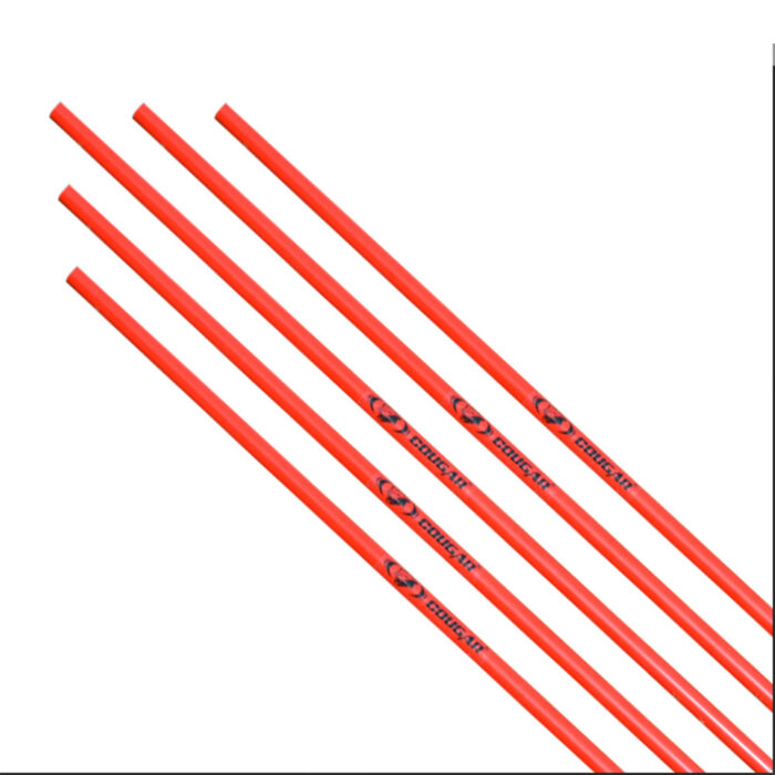Training Poles
