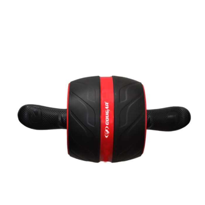 Exercise Wheel