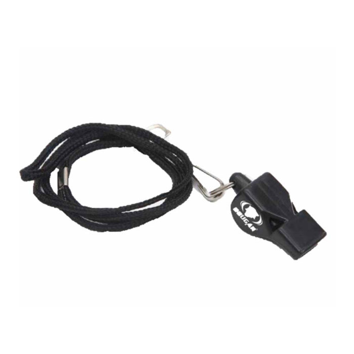 whistle with lanyard