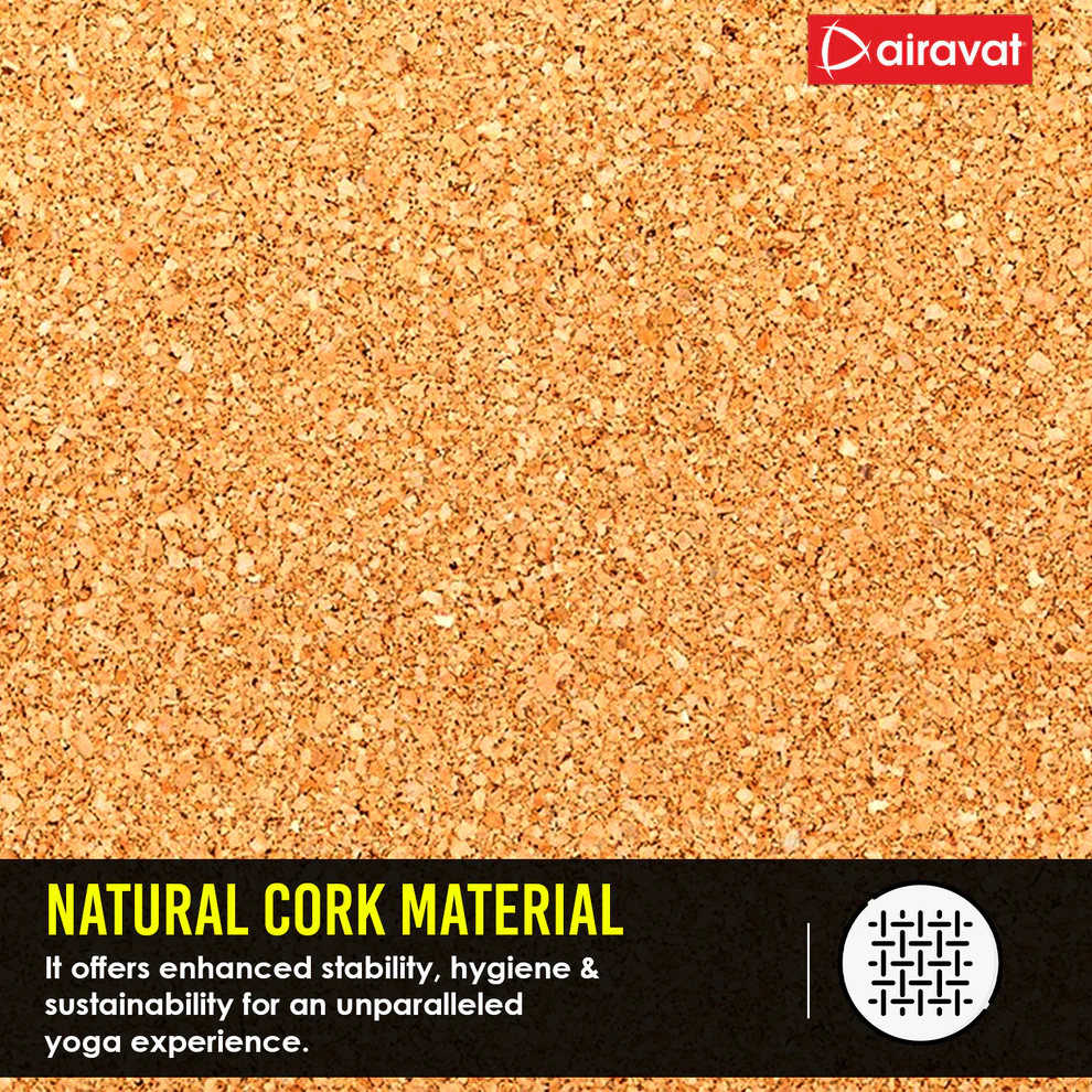 AIRAVAT CORK 6MM YOGA MAT (GUIDE ALIGNMENT) - Image 4
