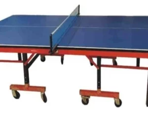TABLE TENNIS – TT TABLE PTT-001